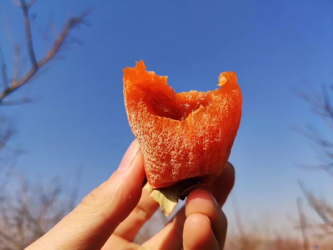 正宗陕西富平纯天然柿饼甜蜜十足