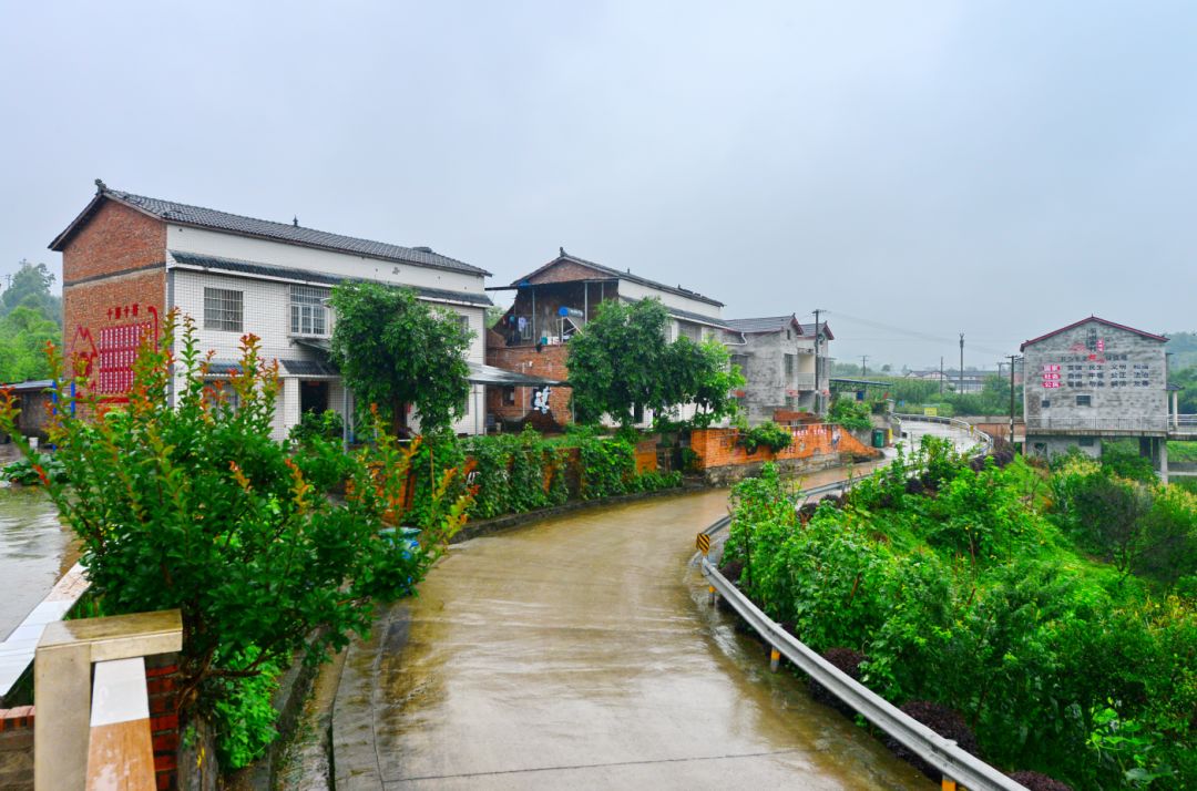 先锋李市石蟆珞璜双福农村大变样