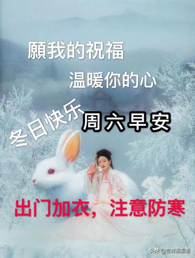 下雪了问候语图片