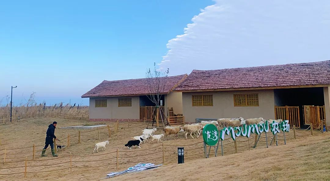 9元抢moumou海岛农场原价120元门票,今启优选独家优惠最后4天!