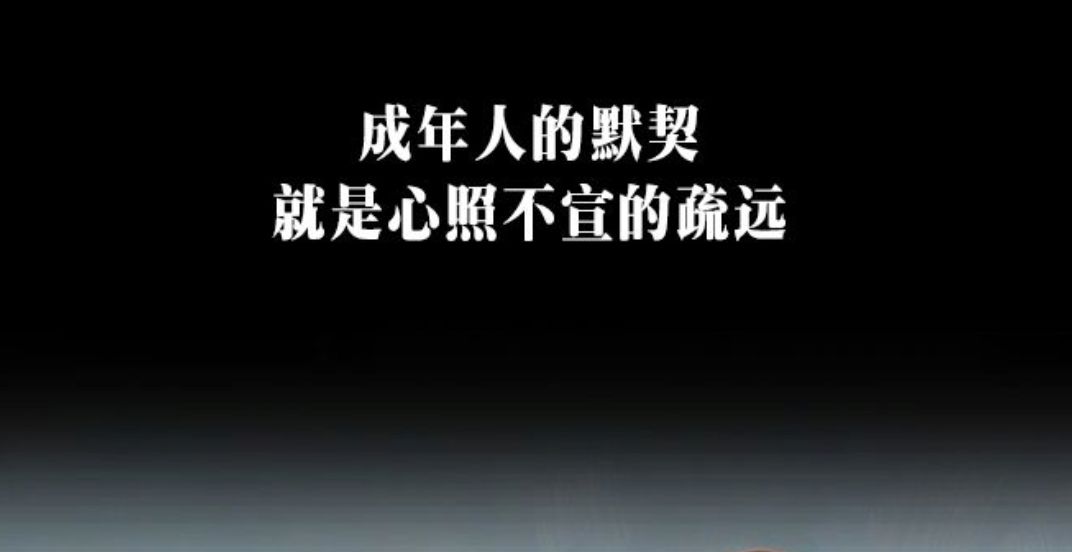 成年人的默契就是心照不宣的疏远
