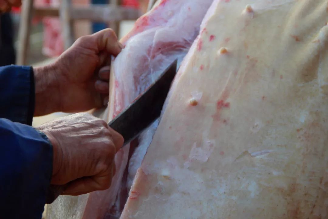 上板,放血,去毛,开膛破肚……儿时记忆中,杀年猪是一年中的大事!