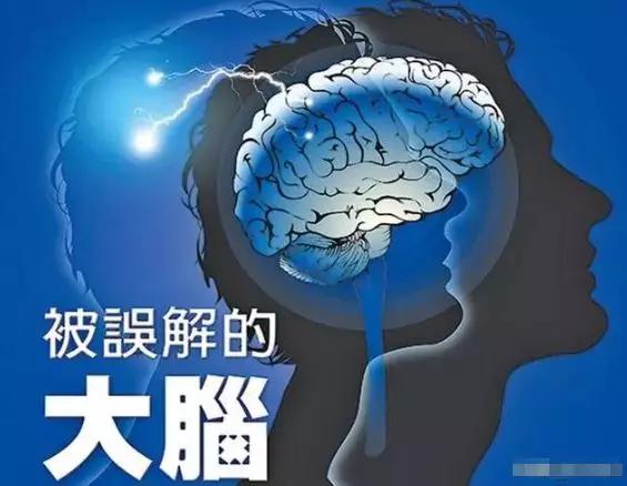 被误解的大脑无脑人智商高达126大脑的重要性被质疑