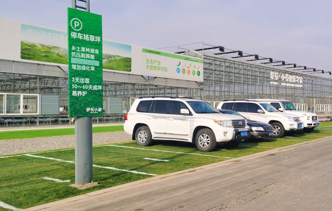 陕西体博会 | 真草坪上能停车,看起来"嫽扎咧"!_足球场