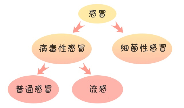 流感,疫苗,感冒药,口罩,空气和我们