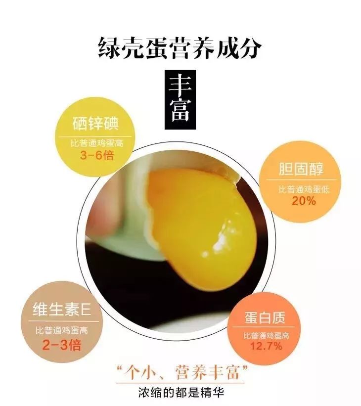 纯天然绿壳乌鸡蛋,你吃过嘛?_营养