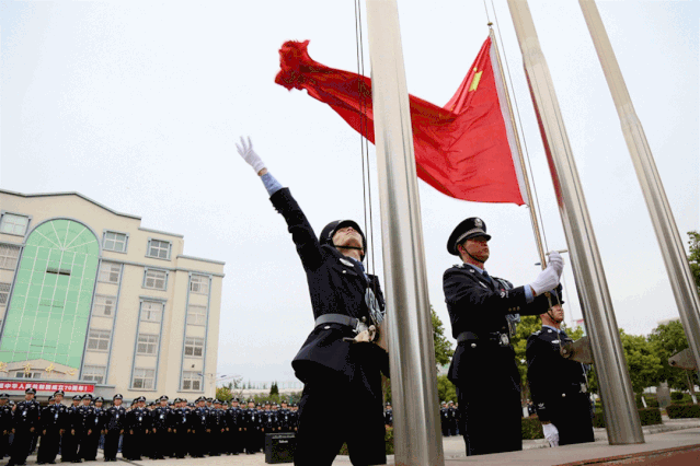 639_426gif 动态图 动图