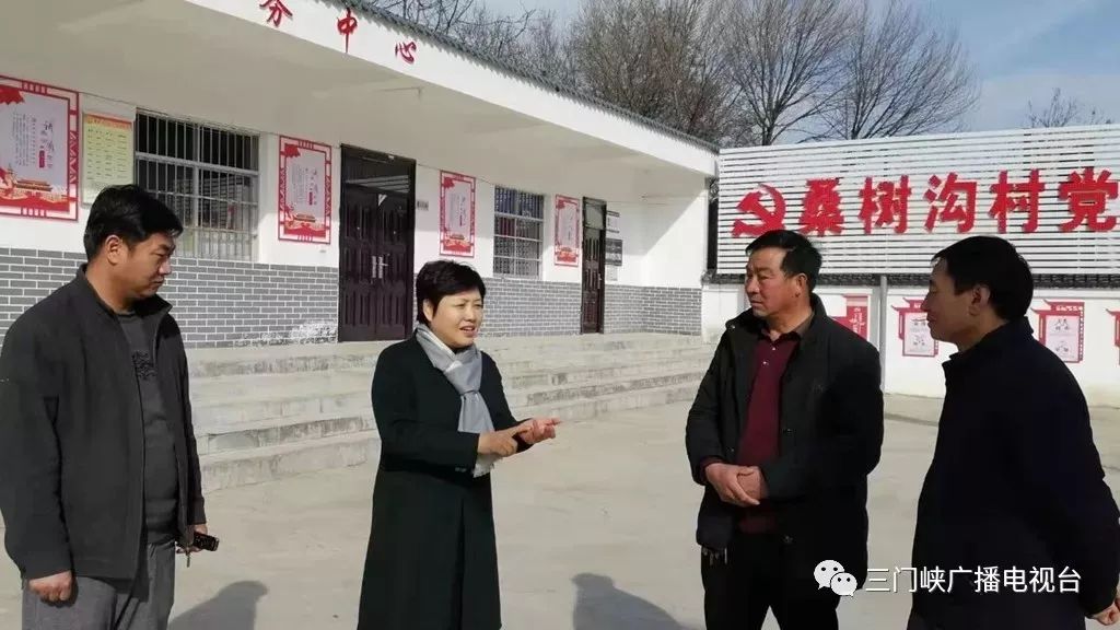 市领导牛兰英深入卢氏县杜关镇调研