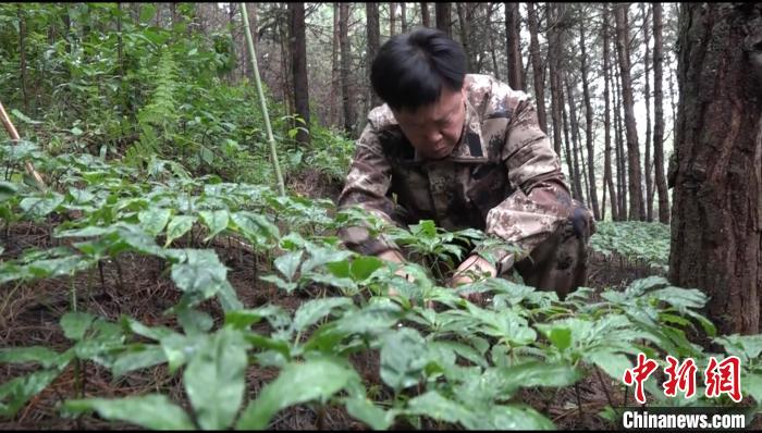 学习"时代楷模"朱有勇先进事迹座谈会在昆明召开