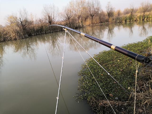 21米大炮竿初体验渔获还可以就是有点耗体力