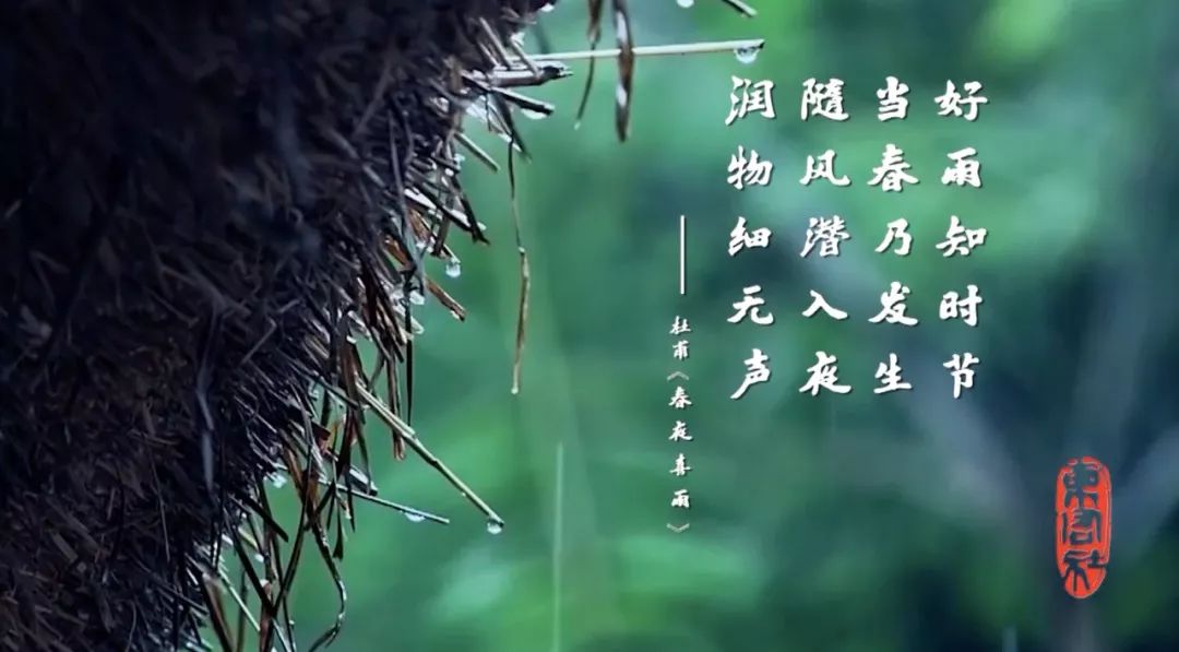 活动报名|来草堂听蓉漂老杜的故事