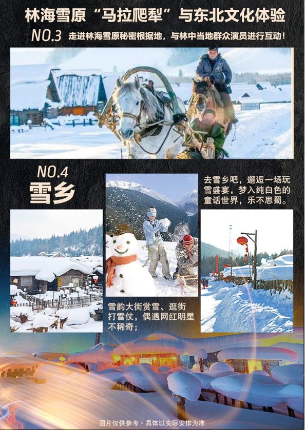 导服,正餐,亚布力初级滑雪场3小时滑雪(含雪板/雪鞋/雪杖),冰雪画廊
