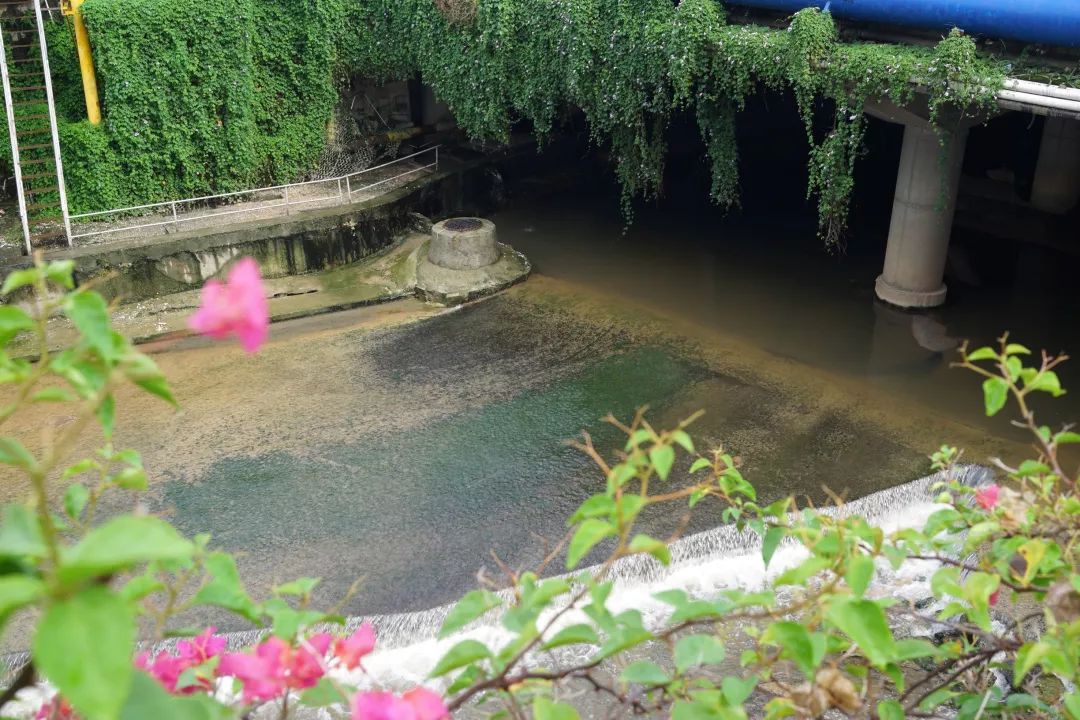 市民的生活息息相关油松河身在闹市油松河(又称民治河)源于民治水库