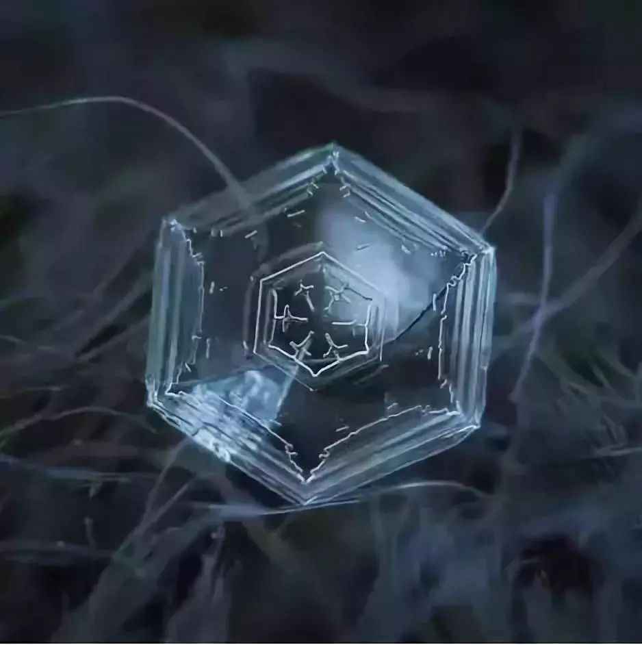 他用九年拍摄一片片雪花,一部烂相机却展现了晶莹剔透,沁人心扉的美