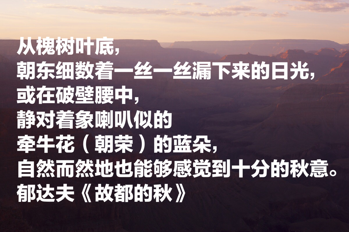 读郁达夫《故都的秋》,理解他为何愿用三分之二生命,换北国秋天