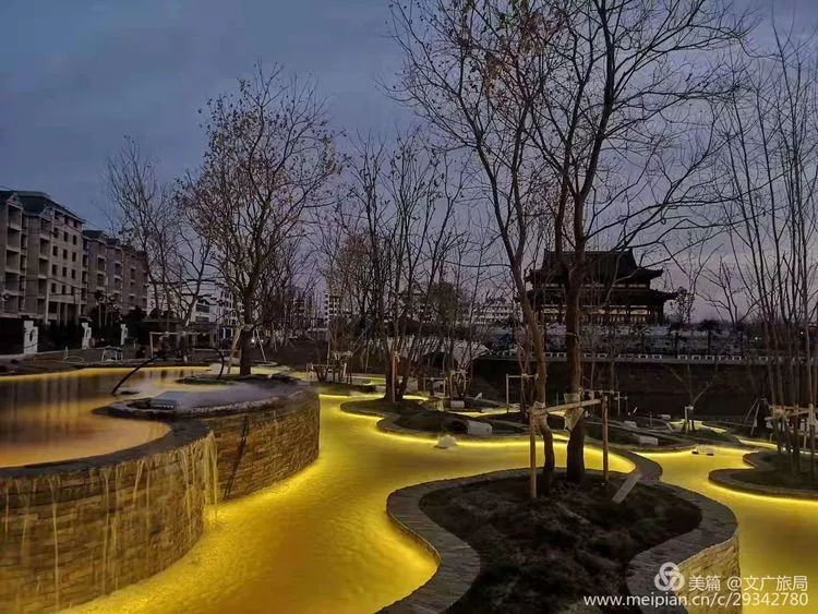 城事信阳淮南县湿地来新客人了这种候鸟你见过吗