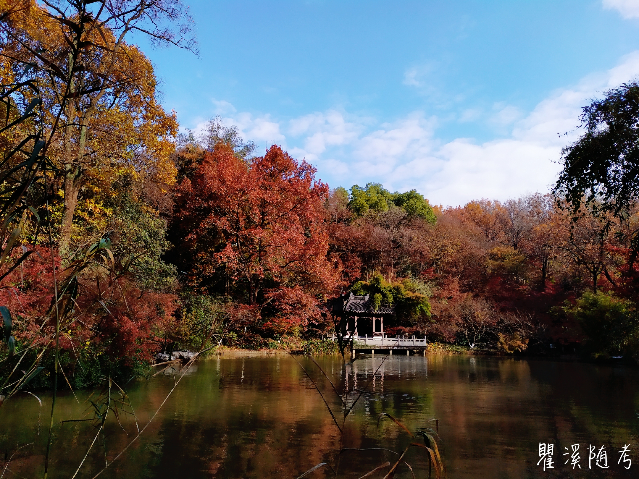 南京栖霞山层林尽染,枫光无限,游客纷至沓来观赏美景