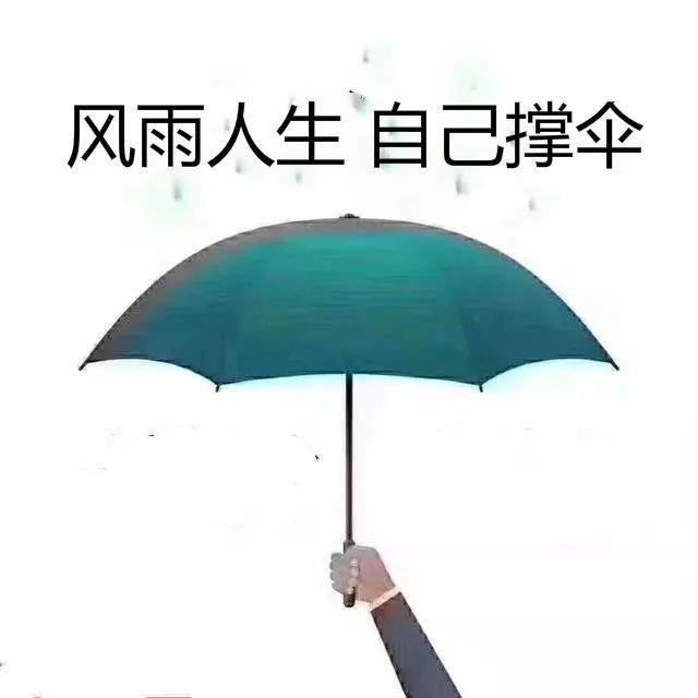 風雨人生,自己撐傘!(深度)