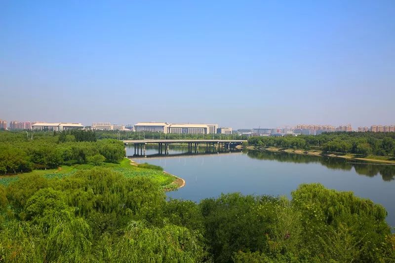 大运河景观大道图片