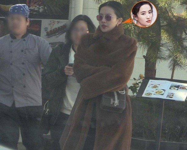 有种生图叫刘亦菲穿皮草穿出大佬出街既视感一般人穿就是悲剧