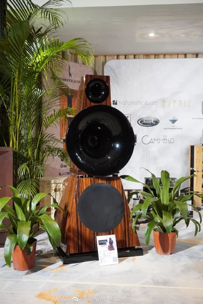 黑胶唱盘,the phono amp分体唱放,the preamp前级,the silver bullet