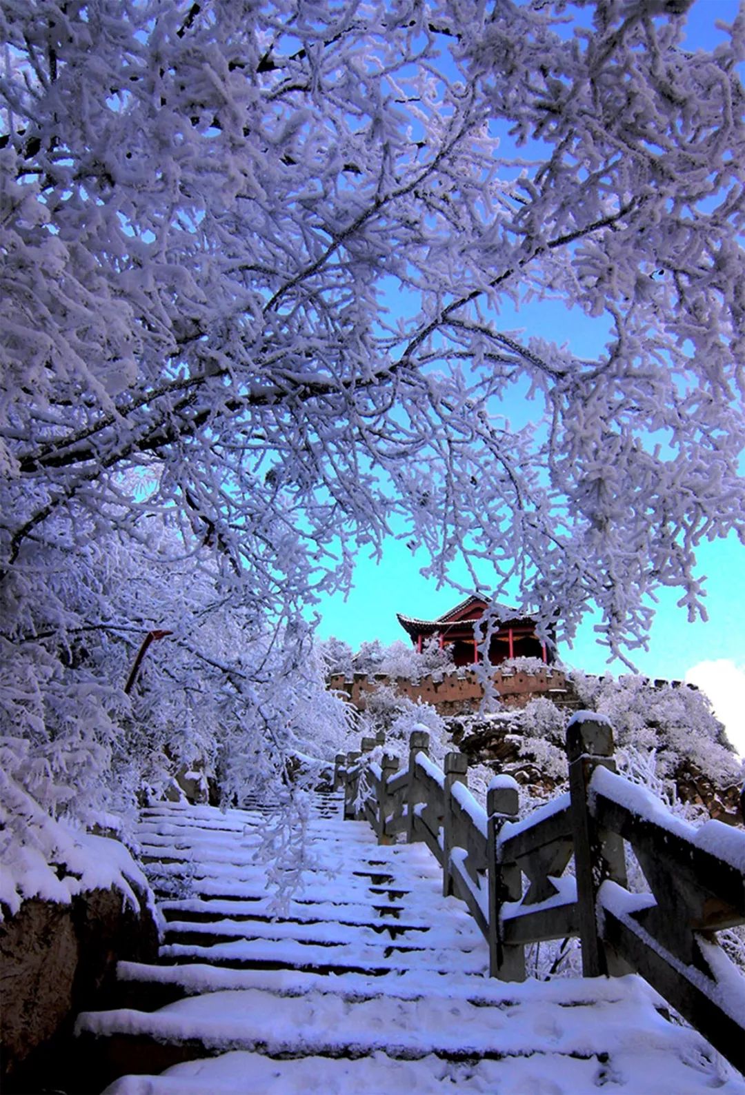 今日大雪,整理一波往年鹿泉雪后美景供大家欣赏!