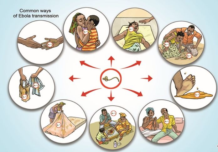 所以虽然埃博拉病毒很可怕,但是考虑到传播途径和预防控制,埃博拉