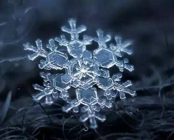 他用九年拍摄一片片雪花,一部烂相机却展现了晶莹剔透,沁人心扉的美