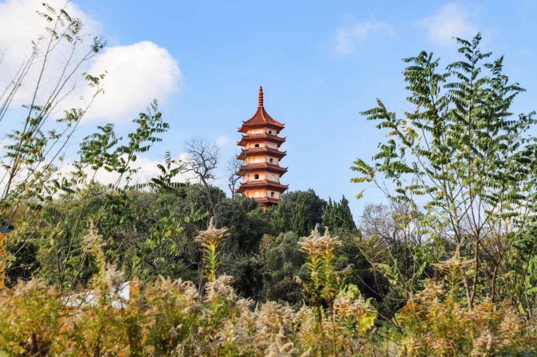 特色陣地圍繞實施鄉村振興戰略,福山村盤活用好各類資源,整合現有的