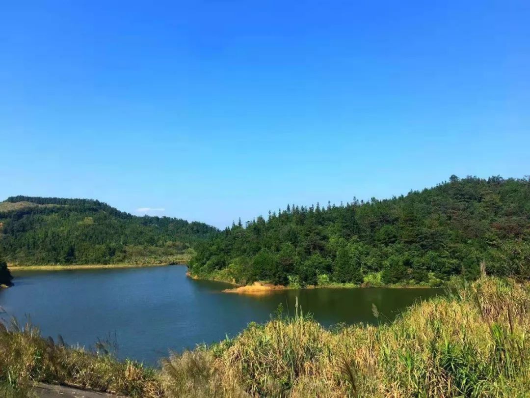 沙坑村七拱河堤→水鴨塘村→水鴨塘村橋→大坪墩→湟川村委→缸瓦廠