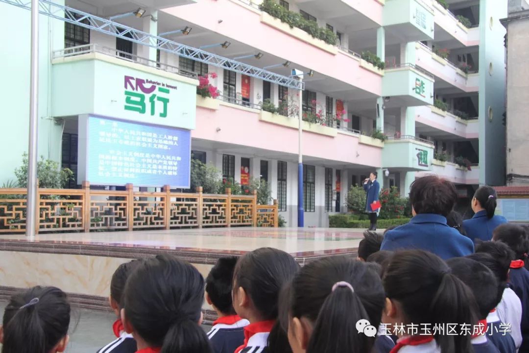 弘扬宪法精神争做守法公民玉州区东成小学开展宪法宣传周活动