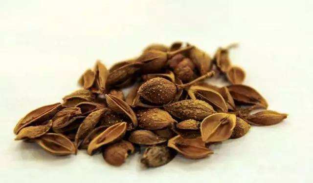 最常用于清热解毒的12种中药