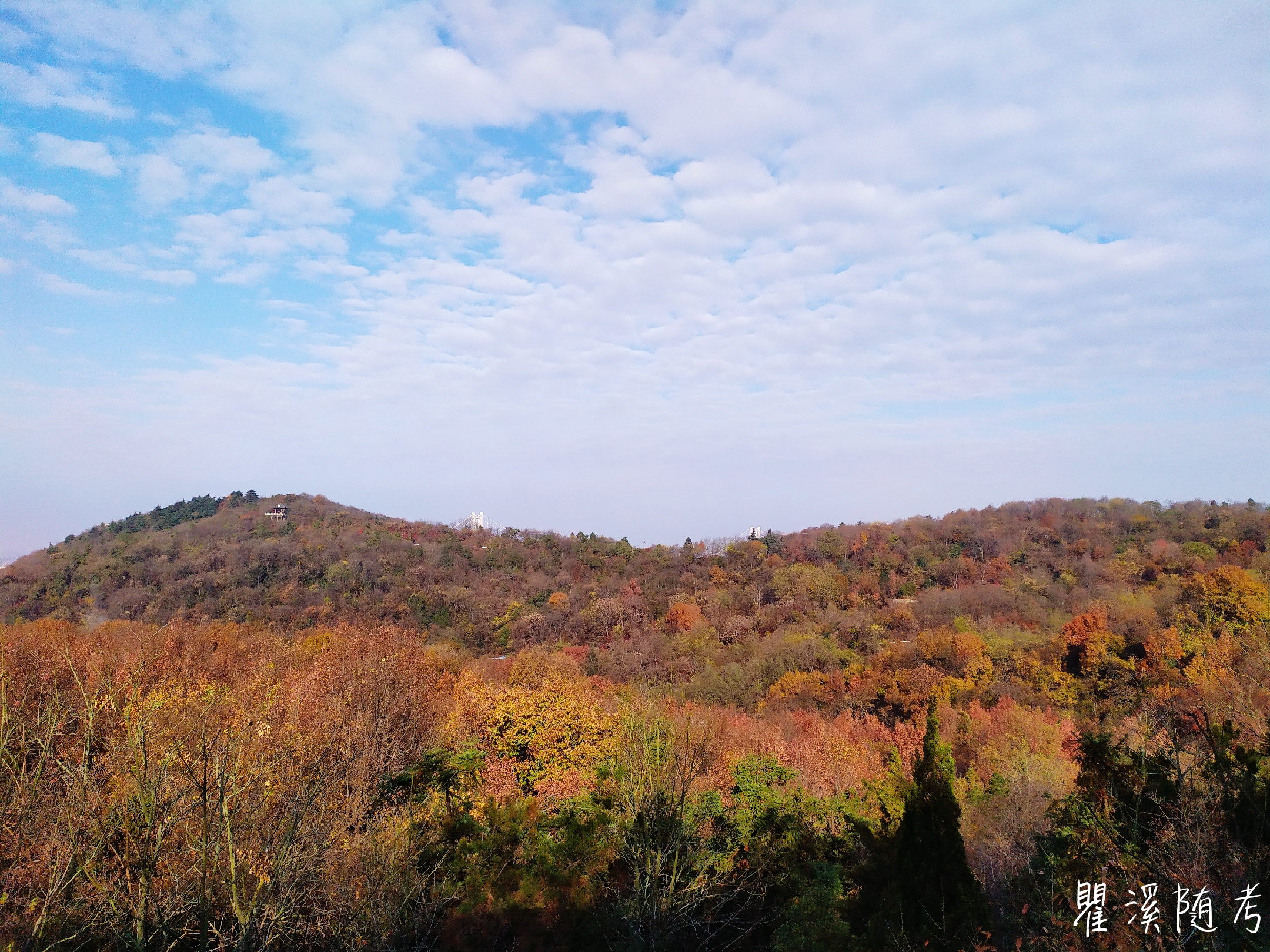 南京棲霞山層林盡染,