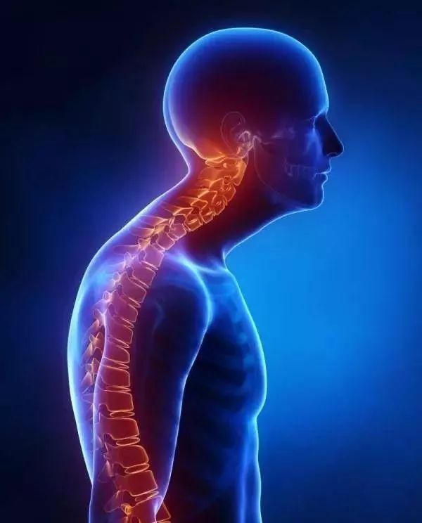 含胸驼背不自信?教你一招搞定!每天2小时,21天让你抬头挺胸!