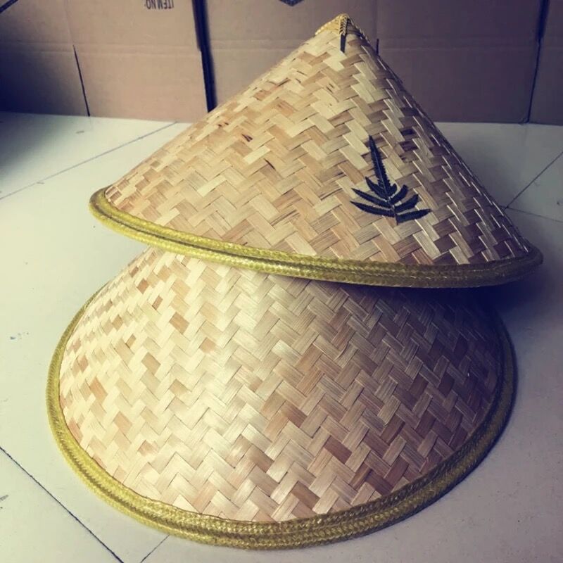 斗笠是越南农夫的传统日常服装,轻便好用并且