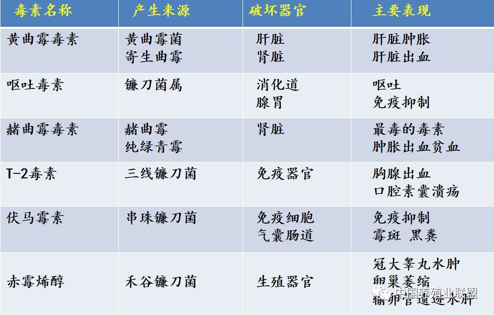 霉菌及其毒素对禽类的临床危害与防控措施