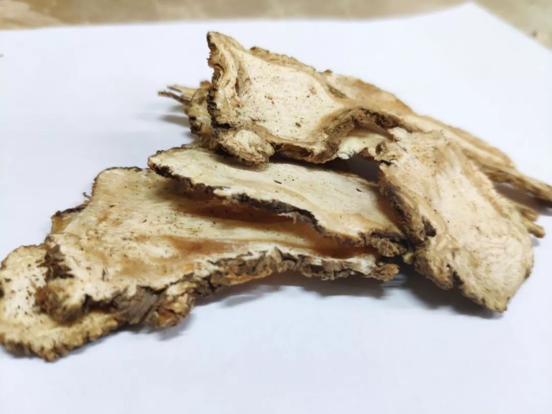 当归横切面,显微_大山谷图库