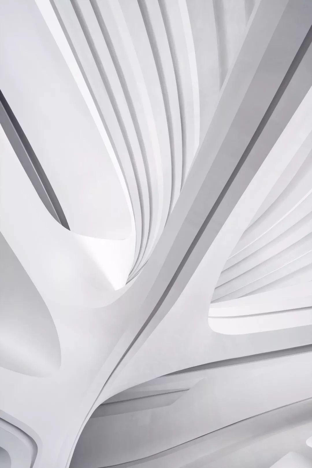 女魔头扎哈在长沙的28亿芙蓉花建筑开馆流线设计再一次惊艳全世界