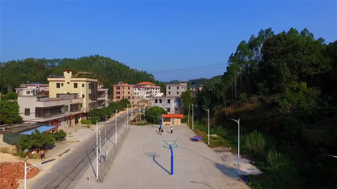 "美丽乡村"候选村|船埔镇樟树村