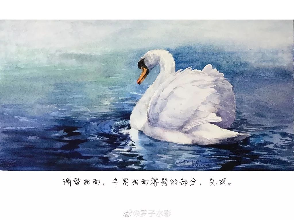 水彩教程唯美天鹅