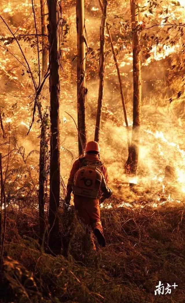 暖心丨高明山火东西北线明火已基本扑灭致敬最美逆行者