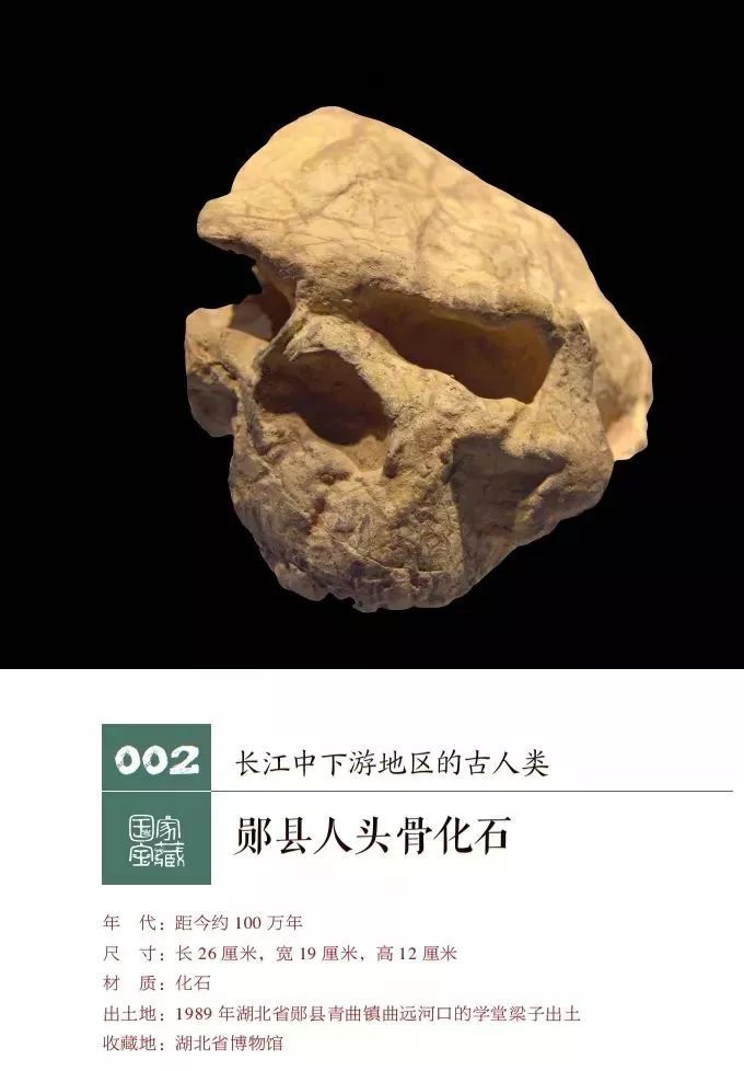 例如:元谋人的牙齿,山顶洞人的头骨,是 中华文明的萌芽和开篇