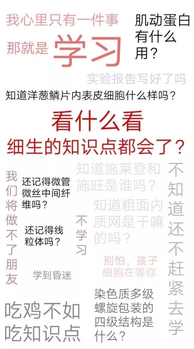 医学生考试月与头发的奋力抗争