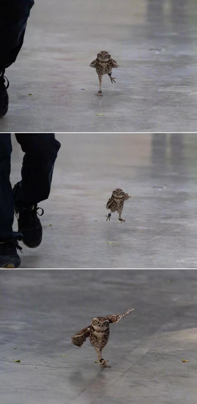 图片[26] - 【xizi被窝段子20191208】不要被任何人阻挡 去你想去的地方吧 - xizi