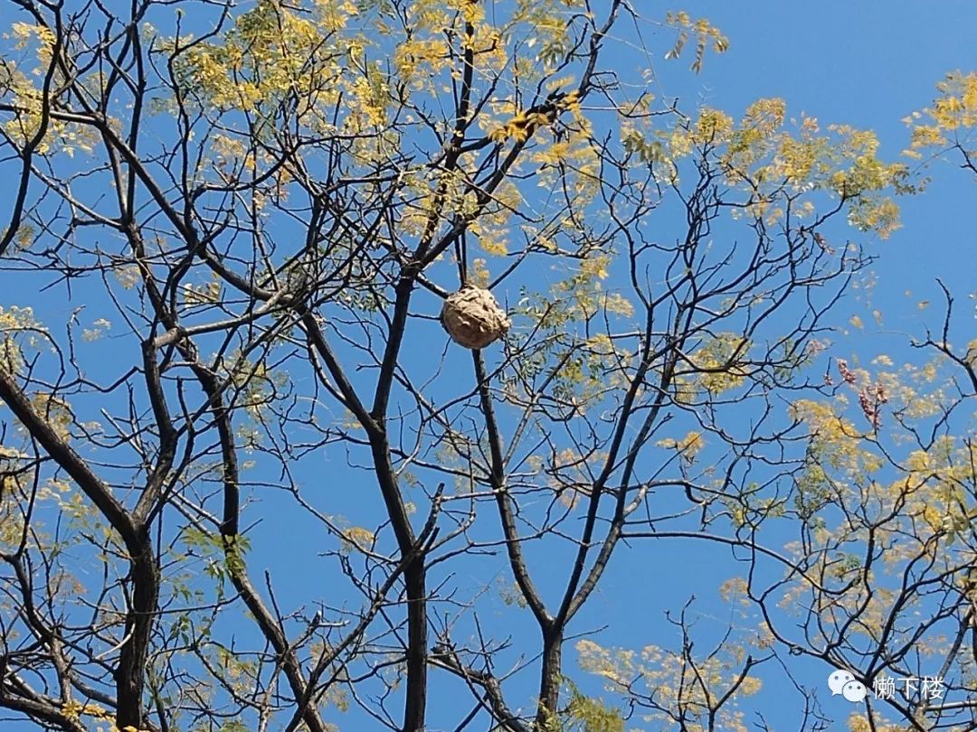 西兴浙江第一古镇