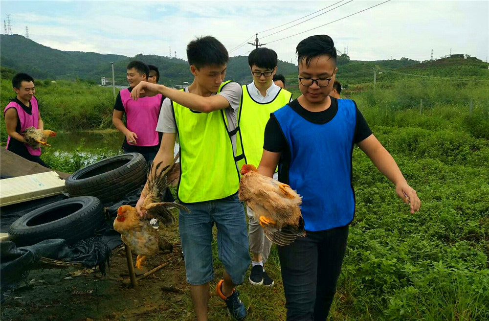 见闻记录|深圳农家乐+采摘草莓+真人CS野战一日游