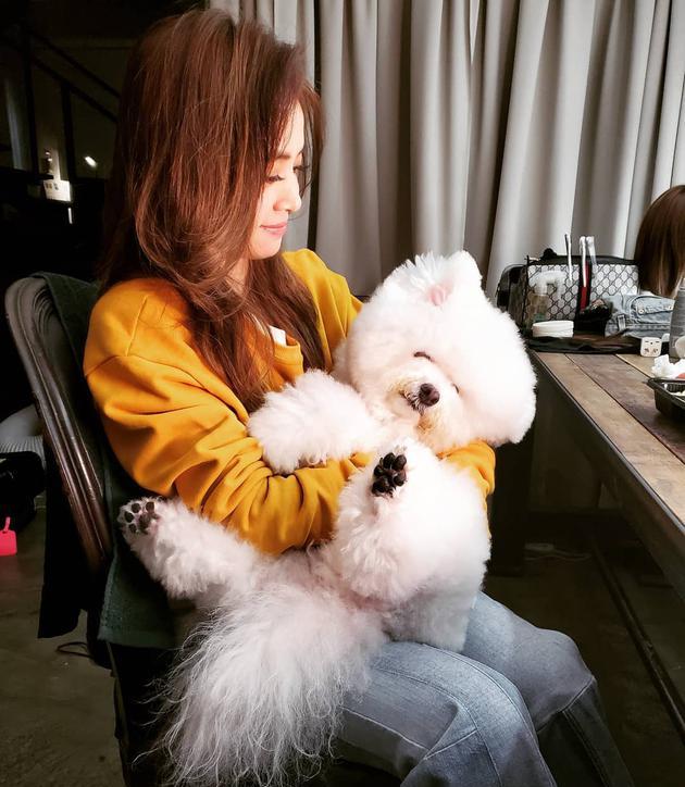蔡依林抱爱犬晒美照眼神宠溺 自侃:老母亲的微笑