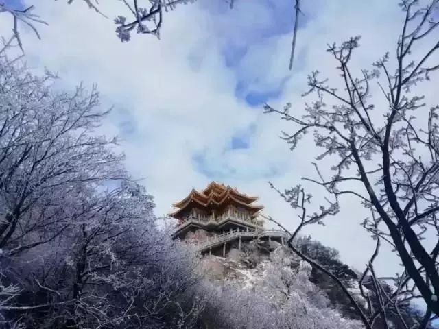 洛阳山中4个景区惊艳雪景照市区6处景观下雪将美成仙境