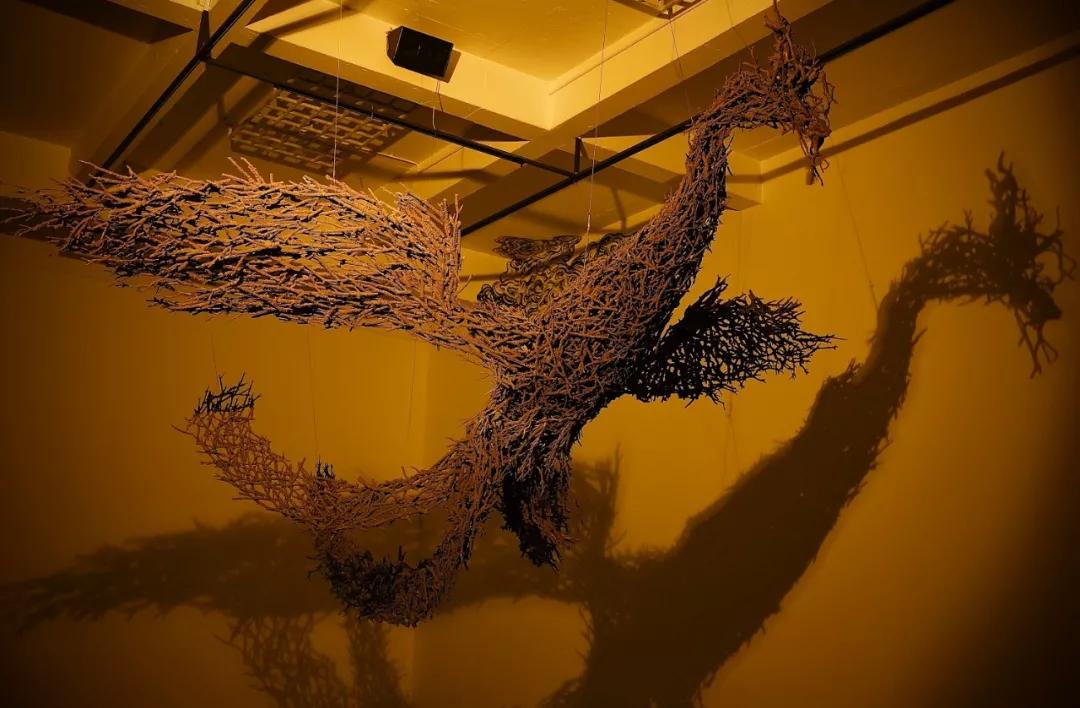 聚焦首届在世界土壤日开幕的土地治愈当代艺术展览