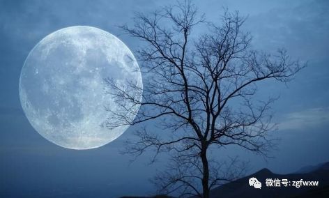 民间故事月照千里